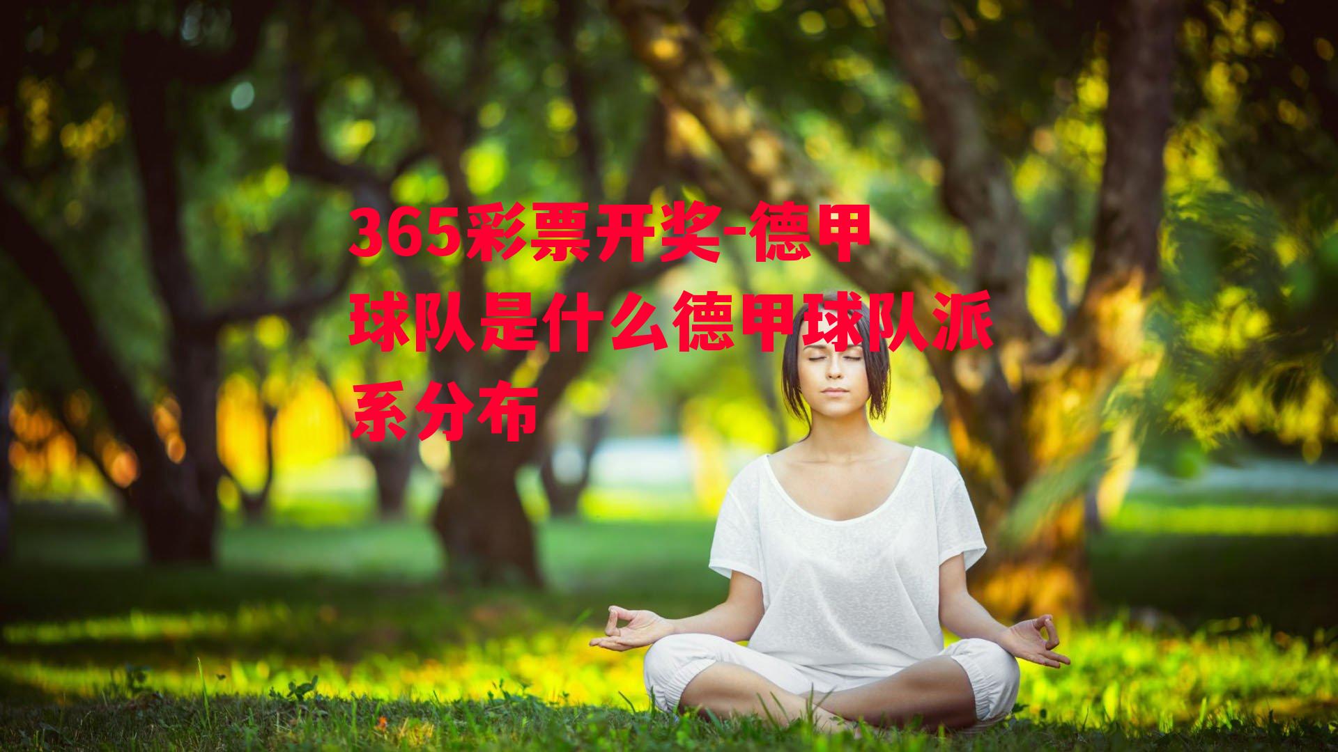 德甲球队是什么德甲球队派系分布